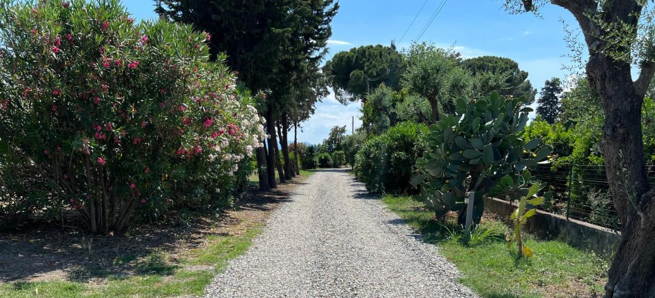 Masseria Brica Rossa Villa Thurii Luaran gambar